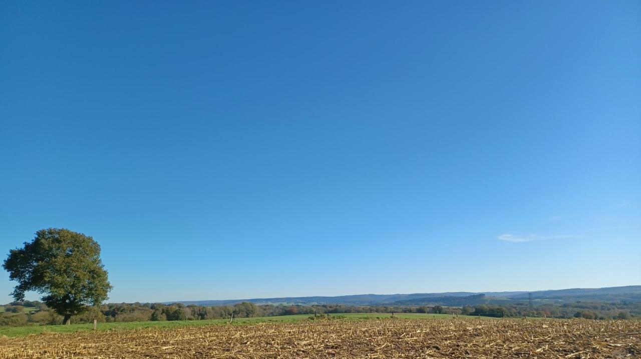 Le Poirier De Warre Villa Durbuy Exteriör bild