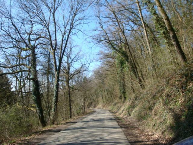 Le Poirier De Warre Villa Durbuy Exteriör bild