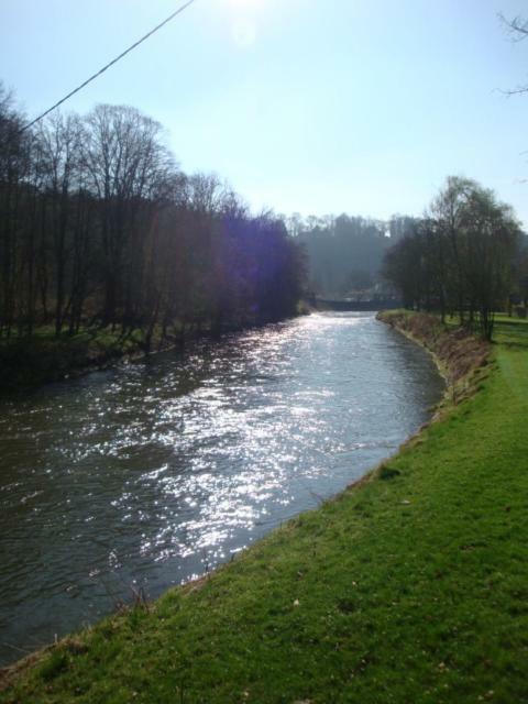 Le Poirier De Warre Villa Durbuy Exteriör bild
